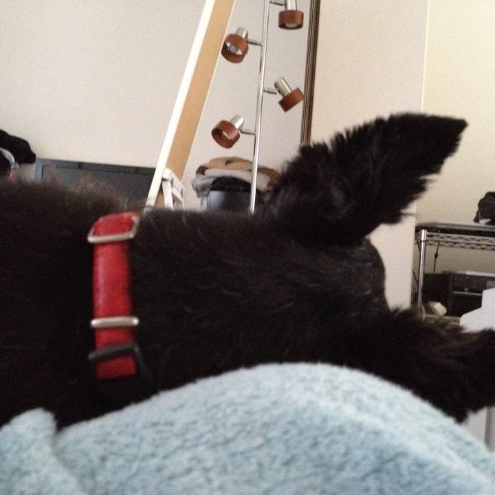 5b2c731f 20f1 418a a54f 1a718b8c298b 1529820752286