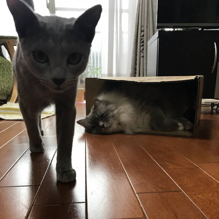 5b2c9967 e8e4 465b a440 902c721bb2a7 1524792279802