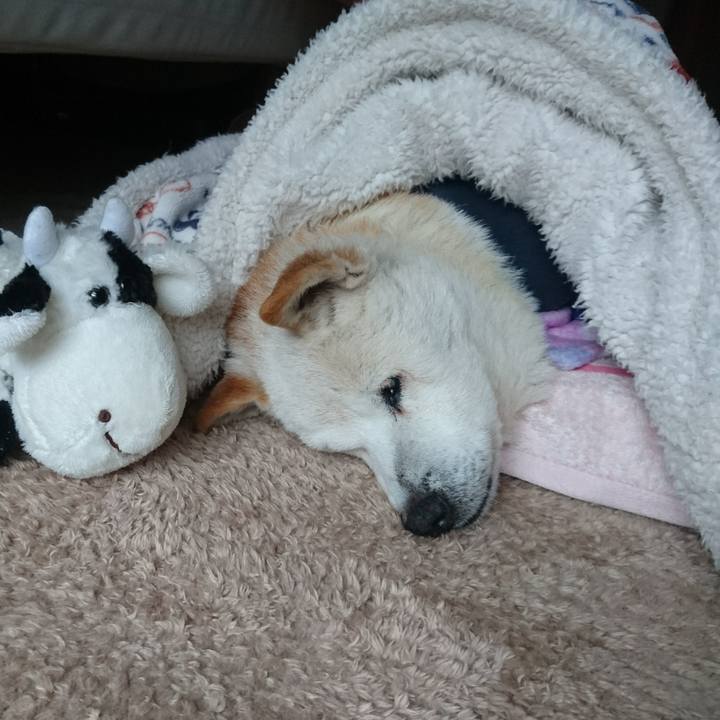 5b2ce6bd 264e 462f 9e4c be0a5a81ced6 1525824745926