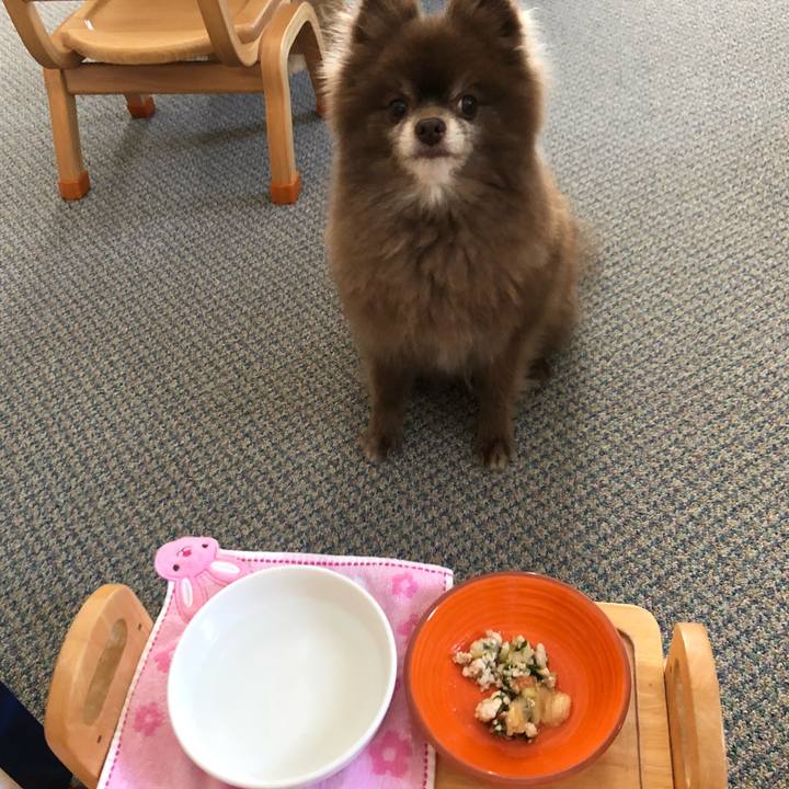 5b2d1fde 7874 4f33 9967 20f768c8f296 1560292919676