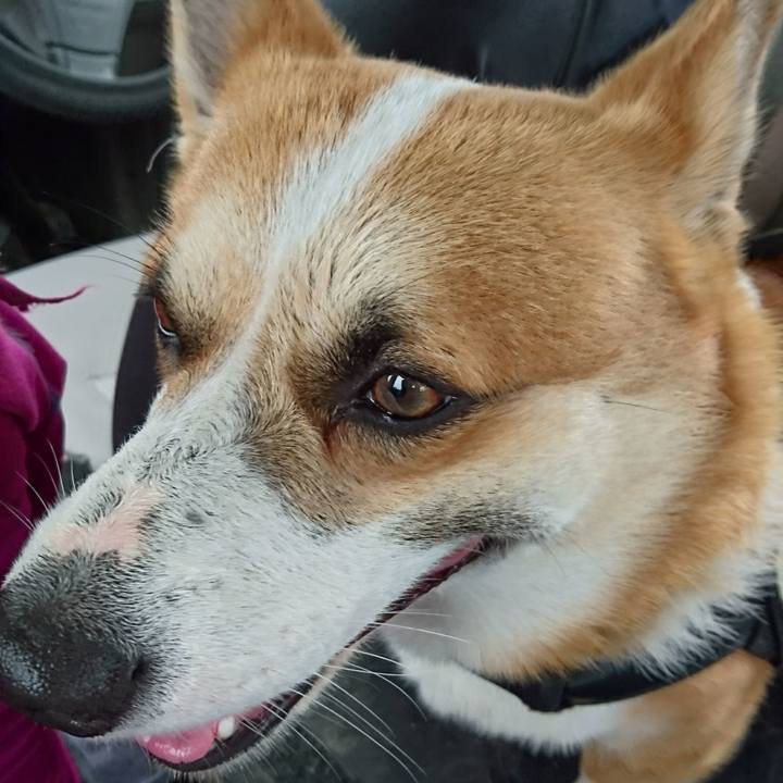 5b2d9131 7a2b 490e 83da 40f6bc2a81da 1622174444845