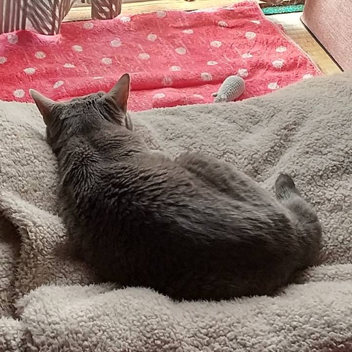 5b2dc8ce 7432 44b9 a2c2 5b30856b9f32 1683672606125