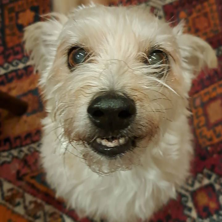 5b2dde7c cd2c 4ffd 98c6 b6ea24a50e1b 1764935235742