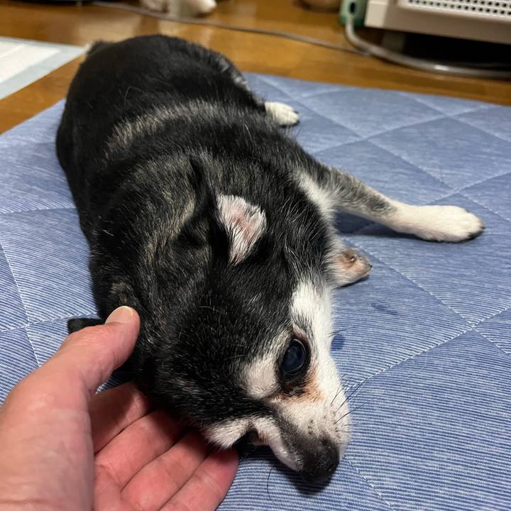 5b2e0e4f 7bb7 487f 949a 0e43529c2eec 1757239191212