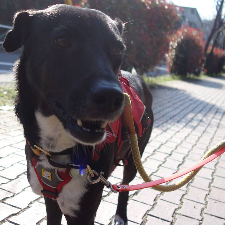 5b2e439f f925 4ca4 b1da 6b396a407639 1584318067930