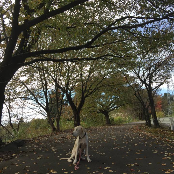 5b2e4ac3 5ab1 4633 8840 98b7547be26f 1509502550803