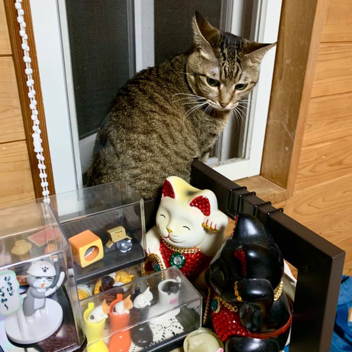 5b2e5efb af63 47ba 947e 9b83a8a18d03 1601027659148