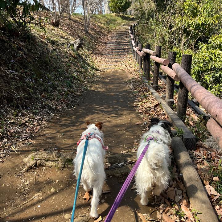 5b2e6f90 51c8 4d3e a8b9 7970b266eed6 1774785149480