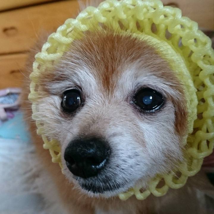 5b2eef8f 937d 41ea 8273 b29c821eefbf 1567422828762