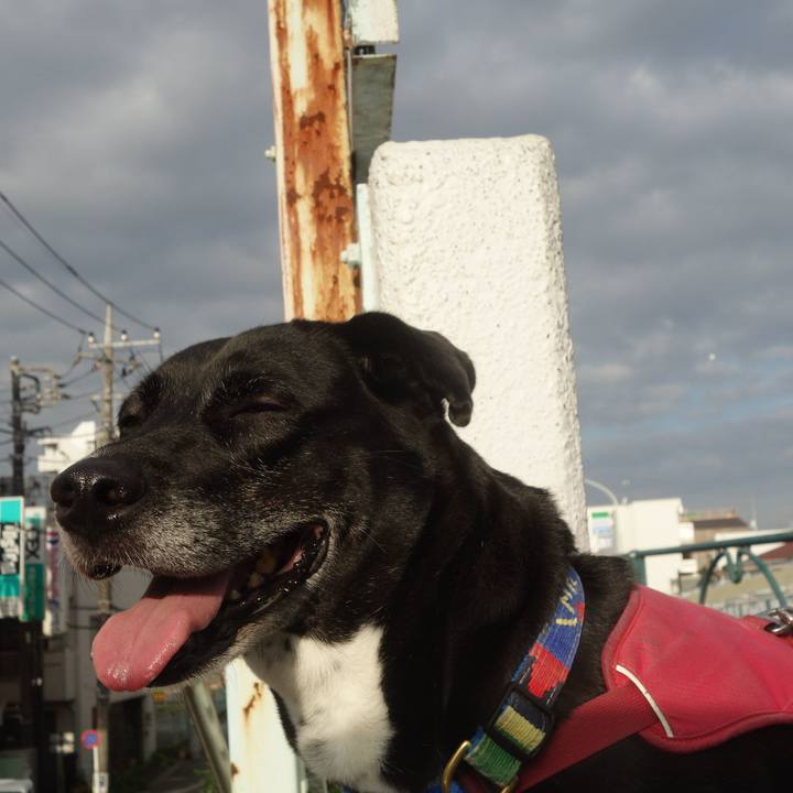 5b2f043b 0426 43df 9165 560cc245cfb3 1693700040541