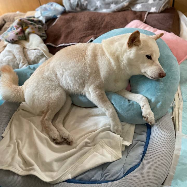 5b2f2aeb dfc6 47a6 b970 051b15c9012a 1646140610278