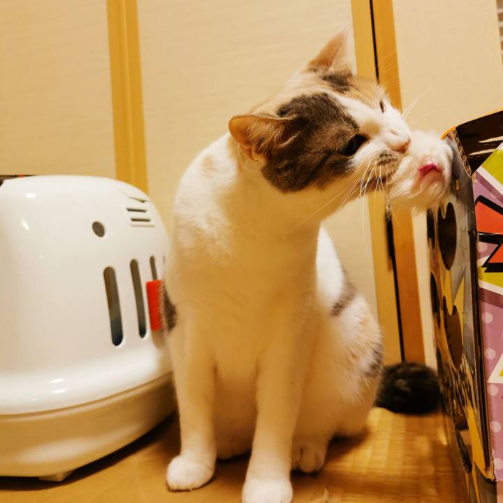 5b2f55e8 cd69 41a5 b7c6 5552d5961442 1649131689801