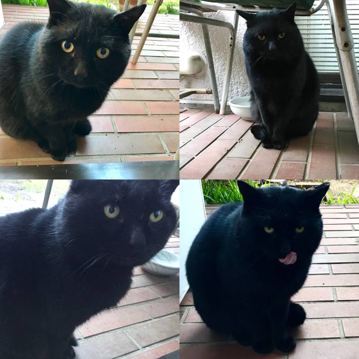 5b2fbc0e f348 4f21 8508 3c773ec0d116 1510294869165