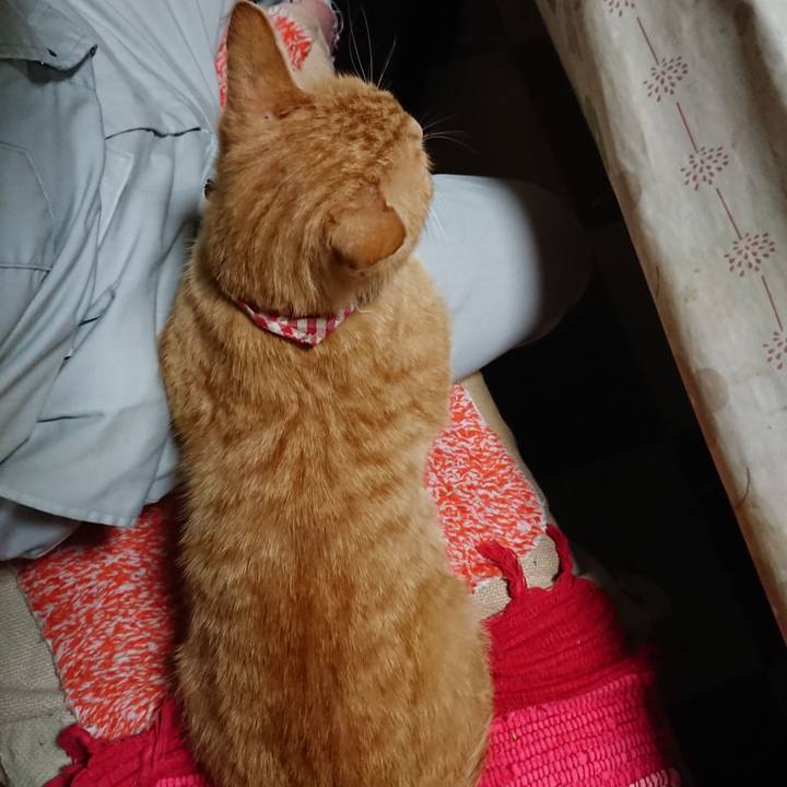 5b2fc420 b3fc 491b 8d76 17d7c91cb0a8 1559902397754