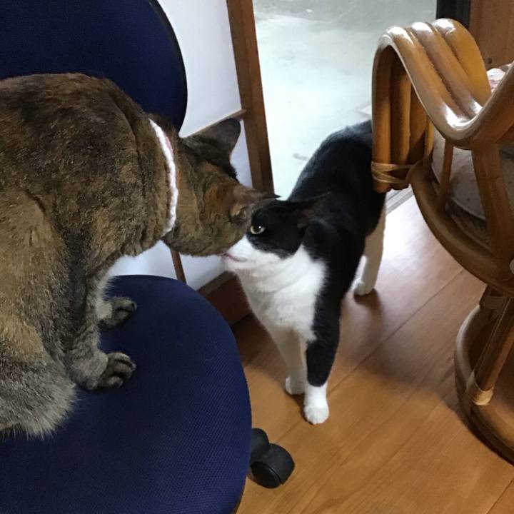 5b30047a 59a5 41d6 9593 ad66e14b0108 1724230117809