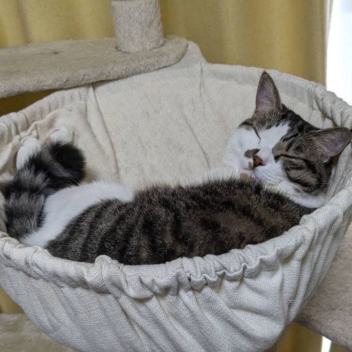 5b30162f 6f98 401c 9cda e48920de622c 1725772528415