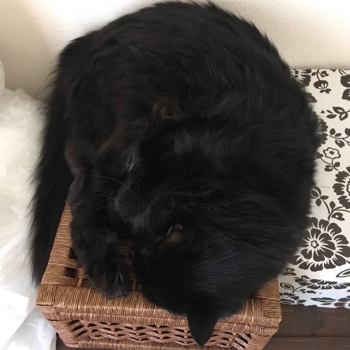 5b3033c7 b8c8 47f4 8565 93d21361cccb 1542076565305