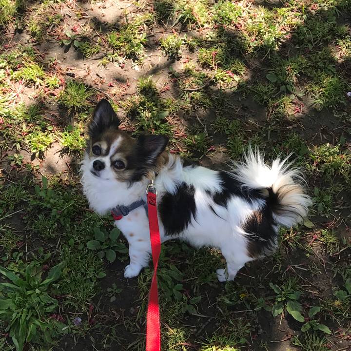 5b303606 902c 45cc 9d17 800f06e3ae7d 1587302102015