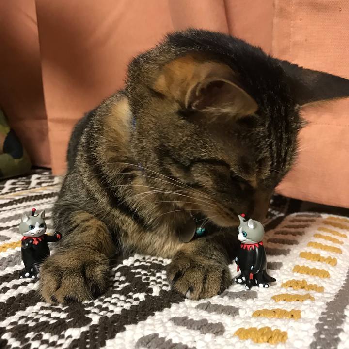 5b3059b3 ded8 4251 bf3c 7bd0939b85bf 1563283732400