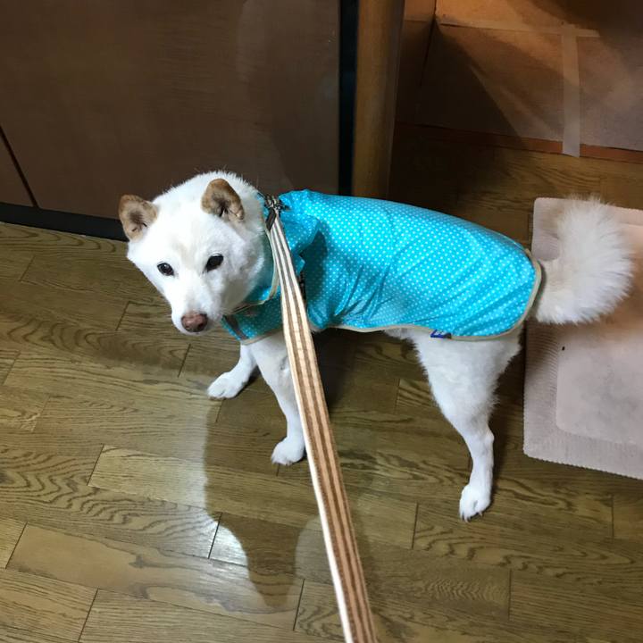 5b306665 e470 492c 94cb 03ec44643ff4 1634202915637