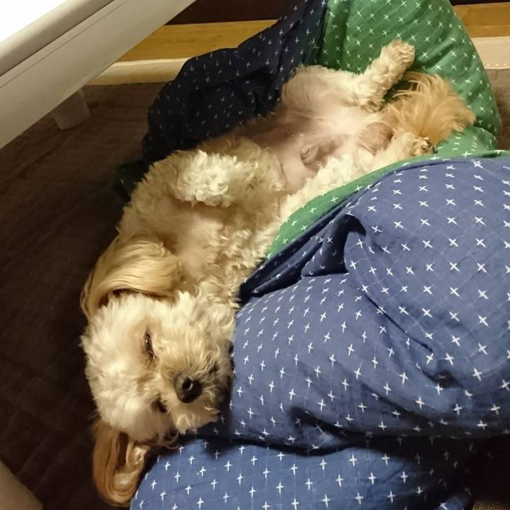 5b30806c 30b6 45d9 8fb8 fdca9421d4e3 1537394975686