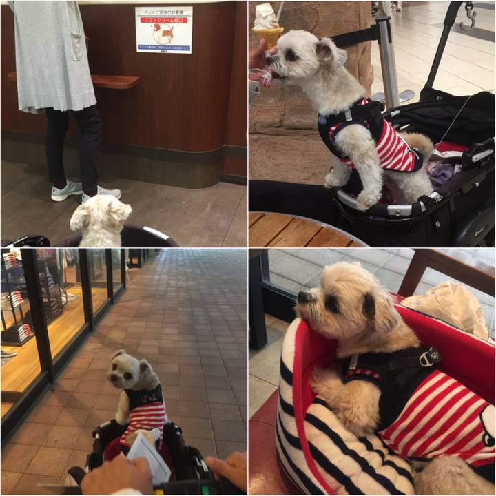 5b30a43c 8868 48ad 9fa8 8c7e208e684a 1523742162529