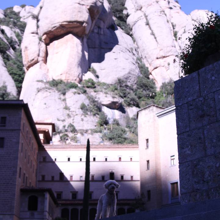 5b312aa9 f38e 4547 a615 37a365745b51 1509460856621