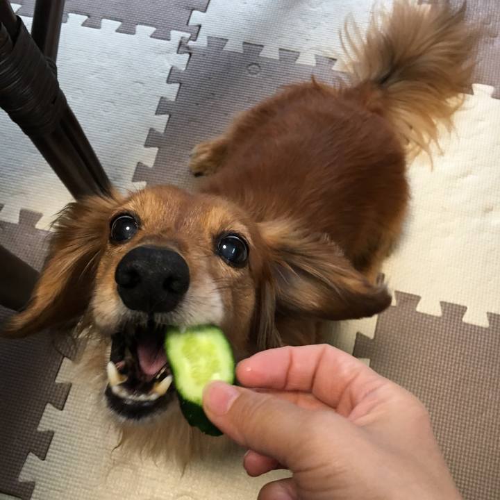 5b312ea9 2f85 4d68 9e0c 72ff32790466 1549864325919