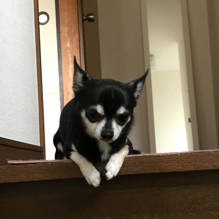 5b313f96 1dab 4fb2 b9e8 ad69b2874001 1523059039570