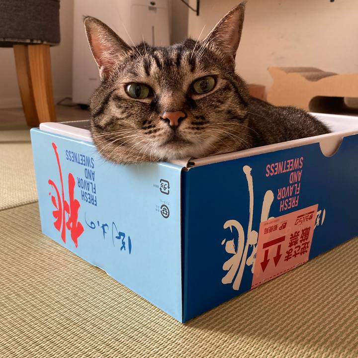 5b3141dd 6f7e 4964 a71e c27c0fecd4a7 1659670463737