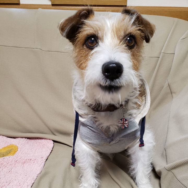 5b314cac 81b7 418f bb72 c43e7a4ff3d7 1758672144376