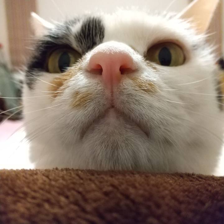 5b31716f 44a0 4404 b899 f9844cac4316 1583246502472