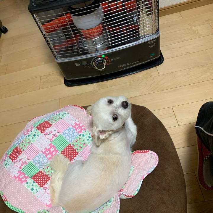 5b31c0a4 0f81 42c6 9be4 70dce3a8827b 1587618657103