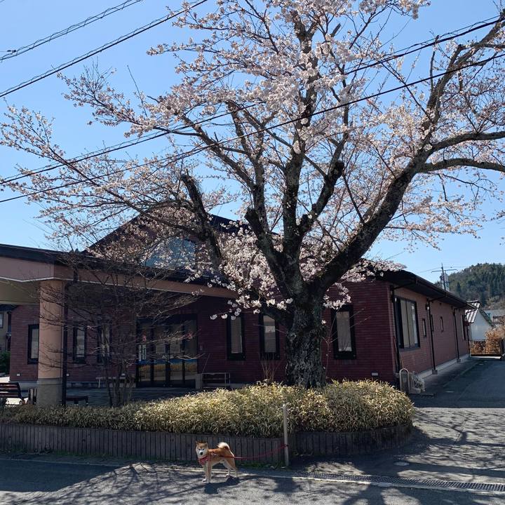 5b31cdcf cabd 40d0 b4f8 fdc2f3546ff4 1586167175214