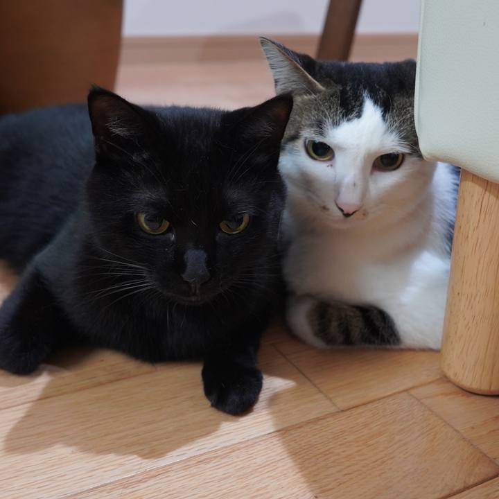 5b3233d6 1827 4957 9533 7ae6c375cc00 1598879920099