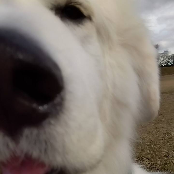 5b326925 b69c 4032 8964 1a2cec8e2013 1671615397767