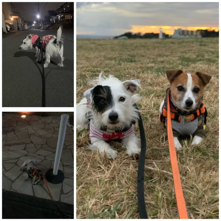 5b327c77 7a44 4e2c bd75 74794e17bca3 1606120613565