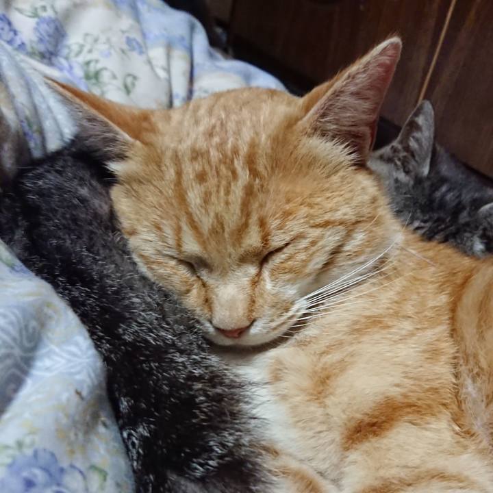 5b32afdf 7e09 4dc6 ab46 5118f7c0b171 1589027891431