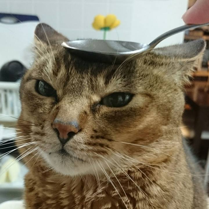 5b32ba4b 4765 43fb b2af 0b6591369959 1512261275671