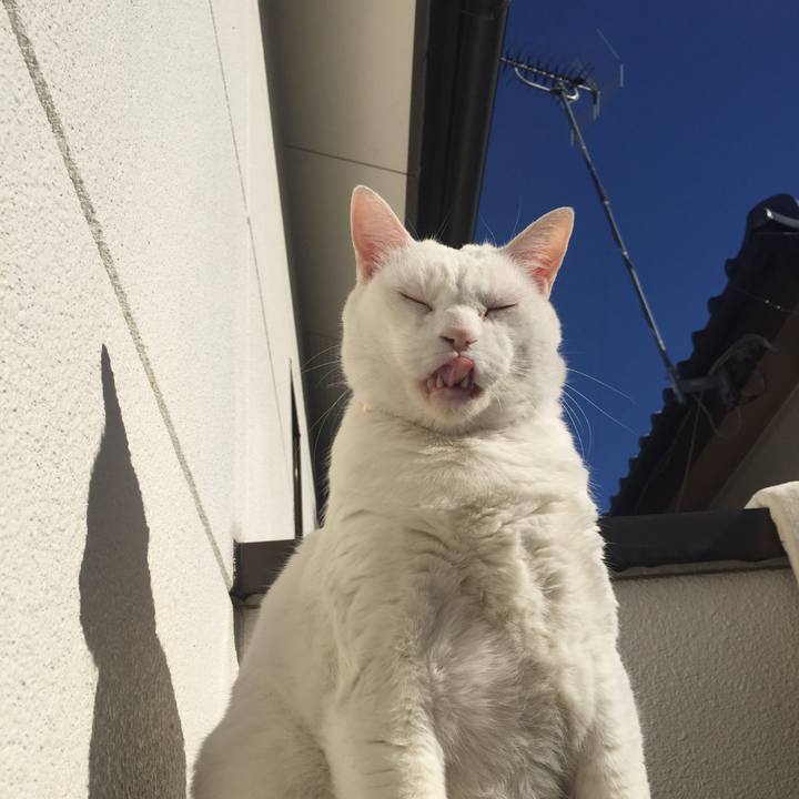 5b332ad5 20c1 4c9f af22 15d03f106817 1548550270935