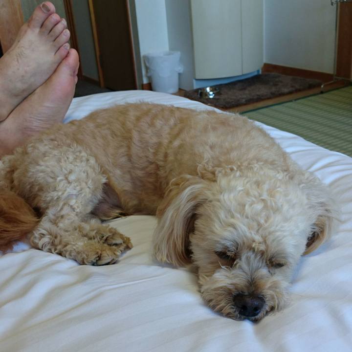 5b332d7e 9eee 4066 b697 f146528e656c 1565247457067