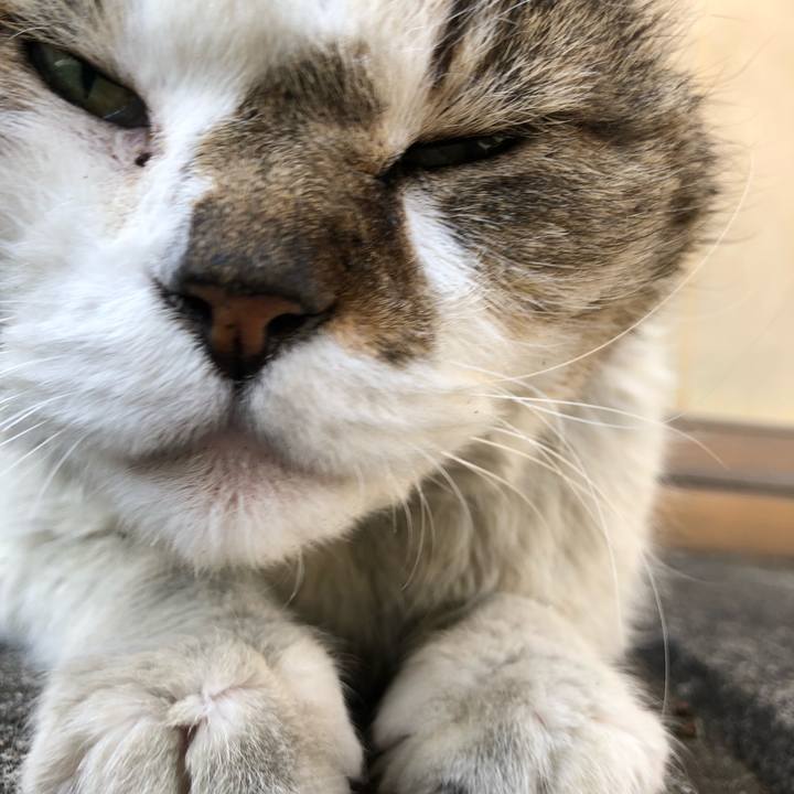 5b335b24 dd1f 4dd9 a932 e2ba737d4e56 1526283058412