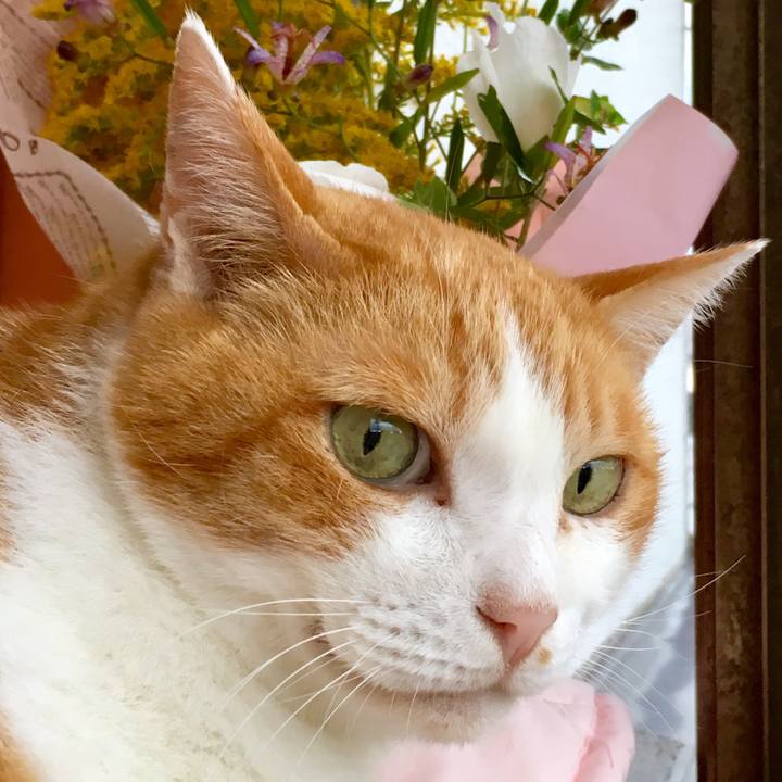 5b337ee4 0b06 4f9c 9499 3999ab3b1ce2 1570516628120