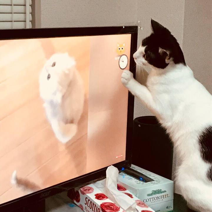 5b338cea 578b 439f 9a36 5ccb3624a8b4 1509553736695