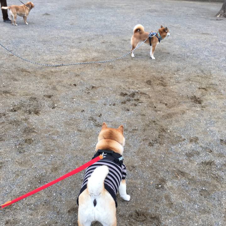 5b33ae45 fbab 488a 9ad6 d0bfc485f3bc 1575850973796