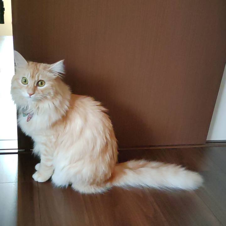 5b33db07 6a8e 4bba be46 4eba7f047ab1 1659477319511