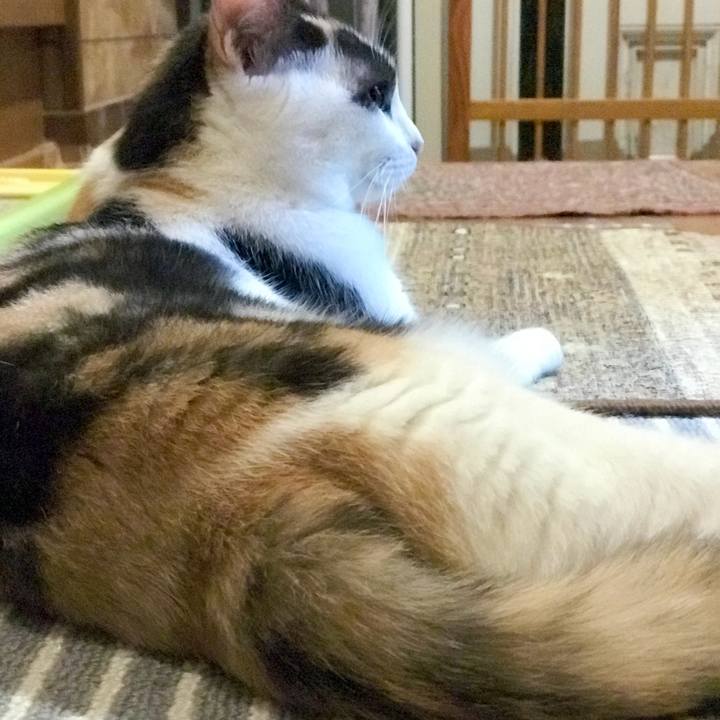 5b3400db 3a68 495e 9d8e 3d2cbfe0ea15 1535554450718