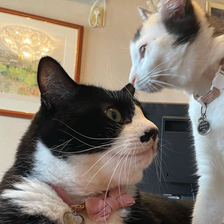 5b344869 b4af 43a0 8f90 60b131c2a9a7 1758158797543