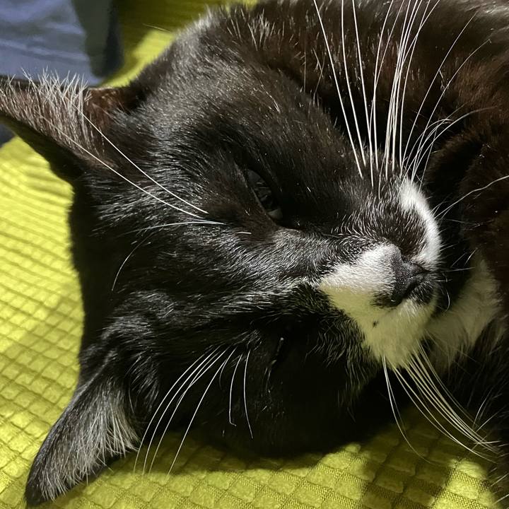 5b344c82 5076 497a 9b21 a044b671d4c5 1767412383016