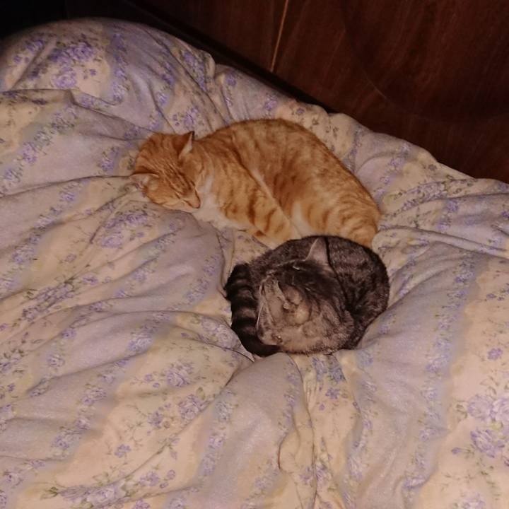 5b3474cf 75a4 4c2d 8ce2 e4c2d132f6c4 1582988631933